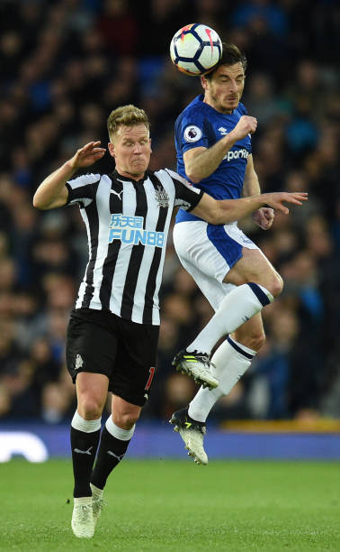 逐渐显现出 逐渐显现出