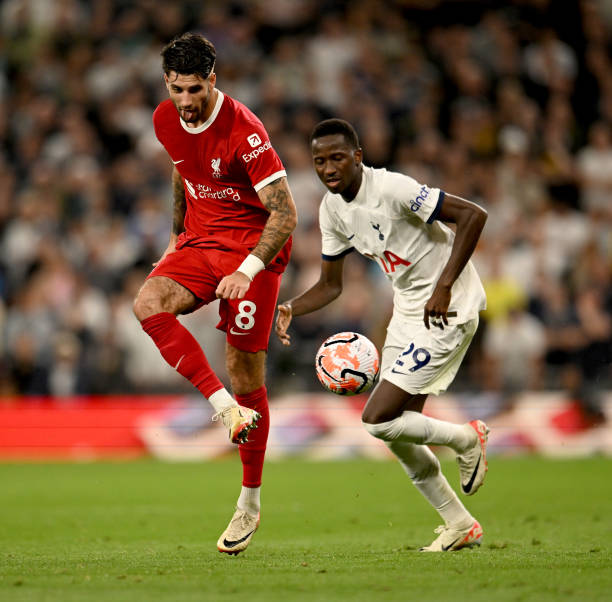 球迷关注 球迷关注