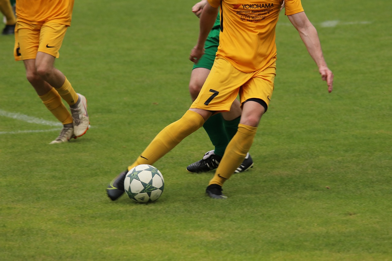 亚沙里和雅 亚沙里和雅